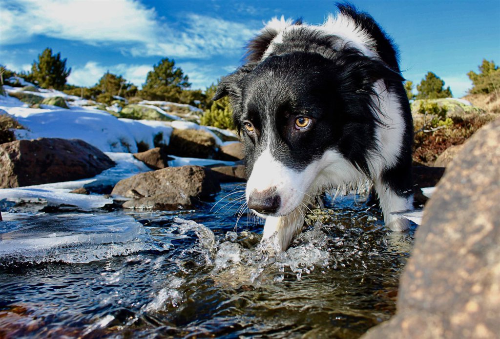 Nahaufnahmefoto Von Wasser Auf Fluss