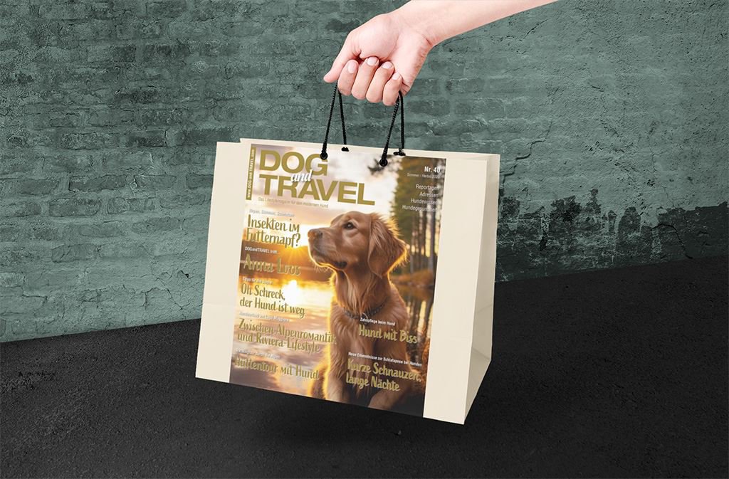 mockup-paper-shopping-bag-in-a-cool-setting-1024