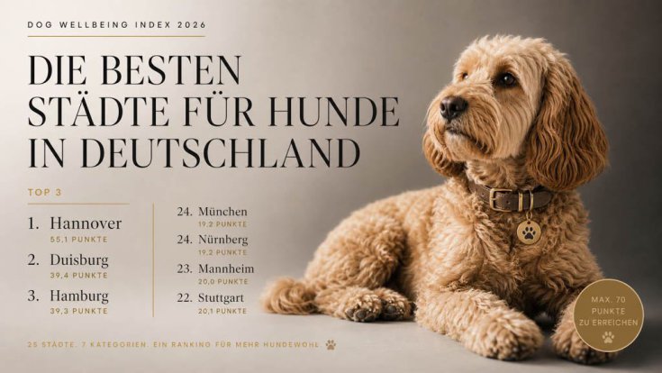 Infografik Die besten Städte für Hunde in Deutschland (6)