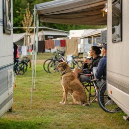 Glamping mit Hund (11)