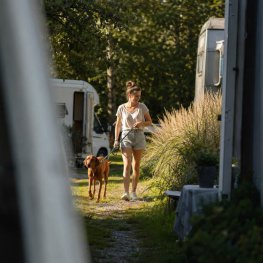 Glamping mit Hund (1)