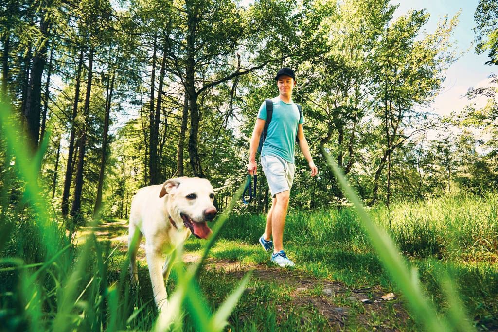 Ein junger Mann mit Basecap geht mit seinem hellen Labrador durch die Natur spazieren