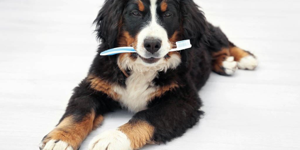 AdobeStock_162560888