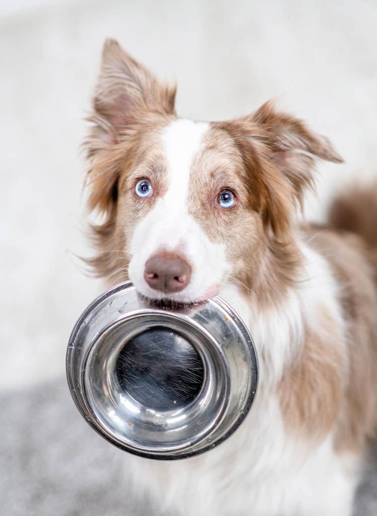 AdobeStock_408462652