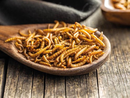 fried-salty-worms-roasted-mealworms-on-wooden-spo-2022-04-19-00-02-17-utc