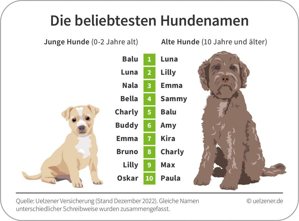 DOGandTRAVEL Das sind die beliebtesten Hundenamen Deutschlands