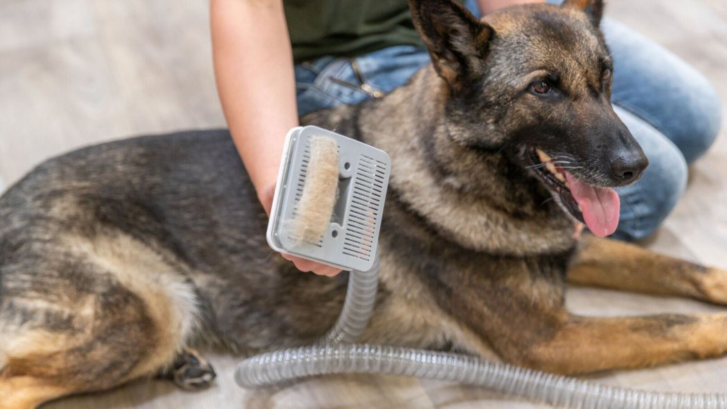 Trixie Grooming Kit 3