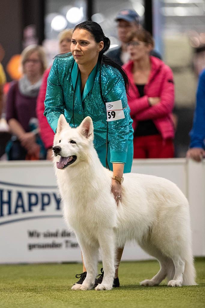 Eine Frau mit schwarzen Haaren und türkis glitzerndem Outfit hält ihren weißen Schäferhund auf einer Hundeausstellung