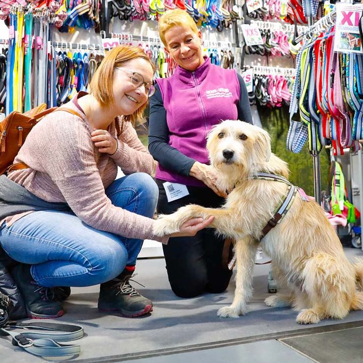 Besucherinnen auf der TIERisch gut in der Messe Karlsruhe 2022