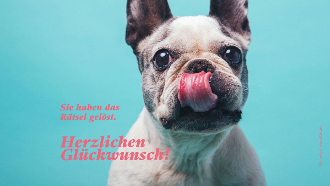 Trixie Grooming Kit 3