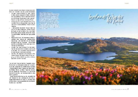 DOGandTRAVEL Nr. 40 XX11
