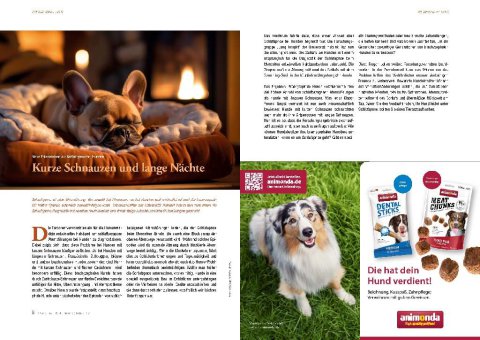 DOGandTRAVEL Nr. 40 XX4