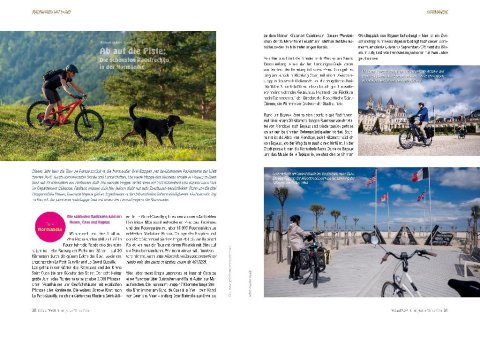 DOGandTRAVEL Nr. 4616