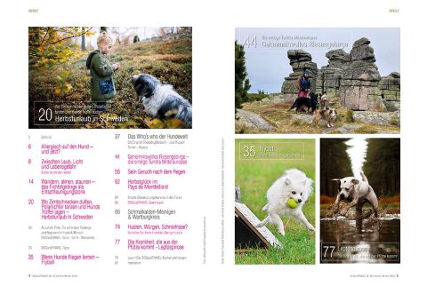 DOGandTRAVEL Nr. 463