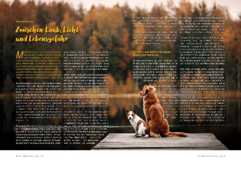 DOGandTRAVEL Nr. 465
