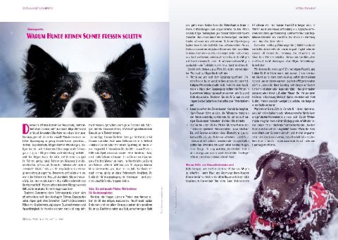 DOGandTRAVEL Nr. 4715