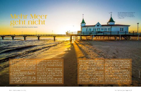 DOGandTRAVEL Nr. 475