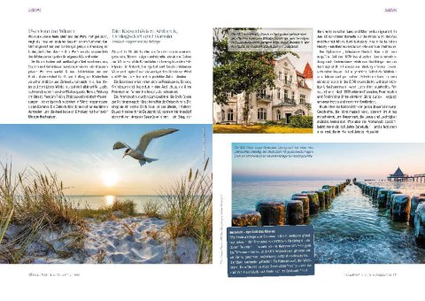 DOGandTRAVEL Nr. 476