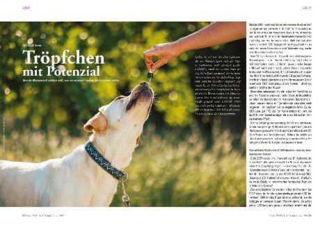 DOGandTRAVEL Nr. 4813