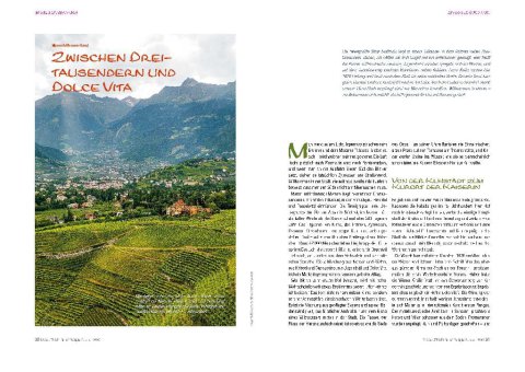 DOGandTRAVEL Nr. 4816
