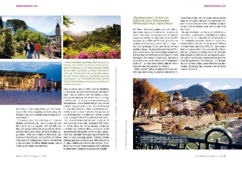 DOGandTRAVEL Nr. 4817