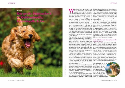 DOGandTRAVEL Nr. 4822