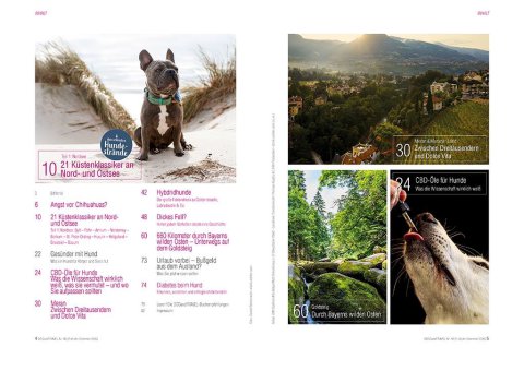 DOGandTRAVEL Nr. 483