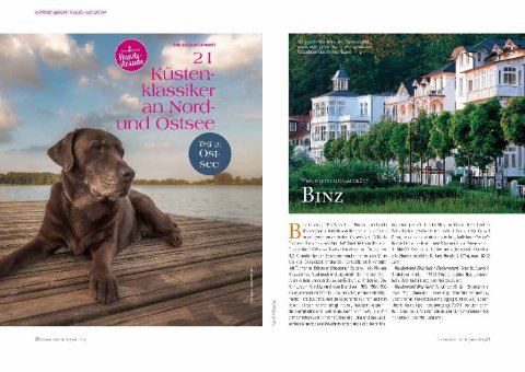 DOGandTRAVEL Nr. 4911