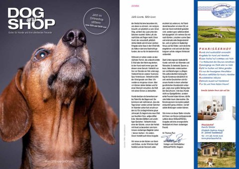 DOGandTRAVEL Nr. 492