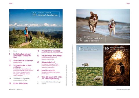 DOGandTRAVEL Nr. 493