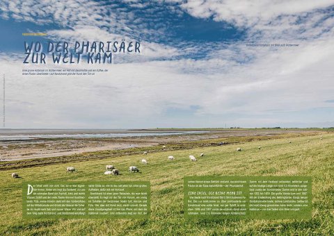 DOGandTRAVEL Nr. 496