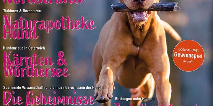 Cover DOGandTRAVEL Nr. 49 LR